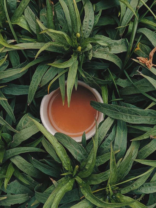 Oolong Caramel Beurre Salé